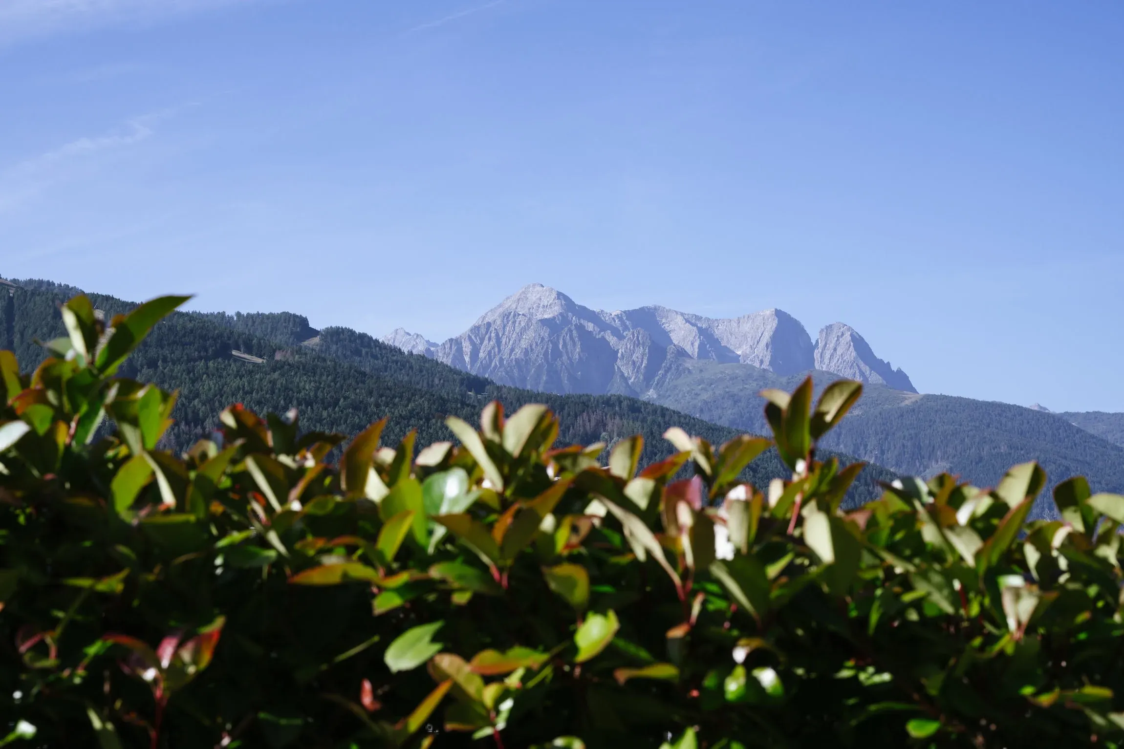 villa-luzzago-ponte-di-legno-paesaggio-oltrebrescia