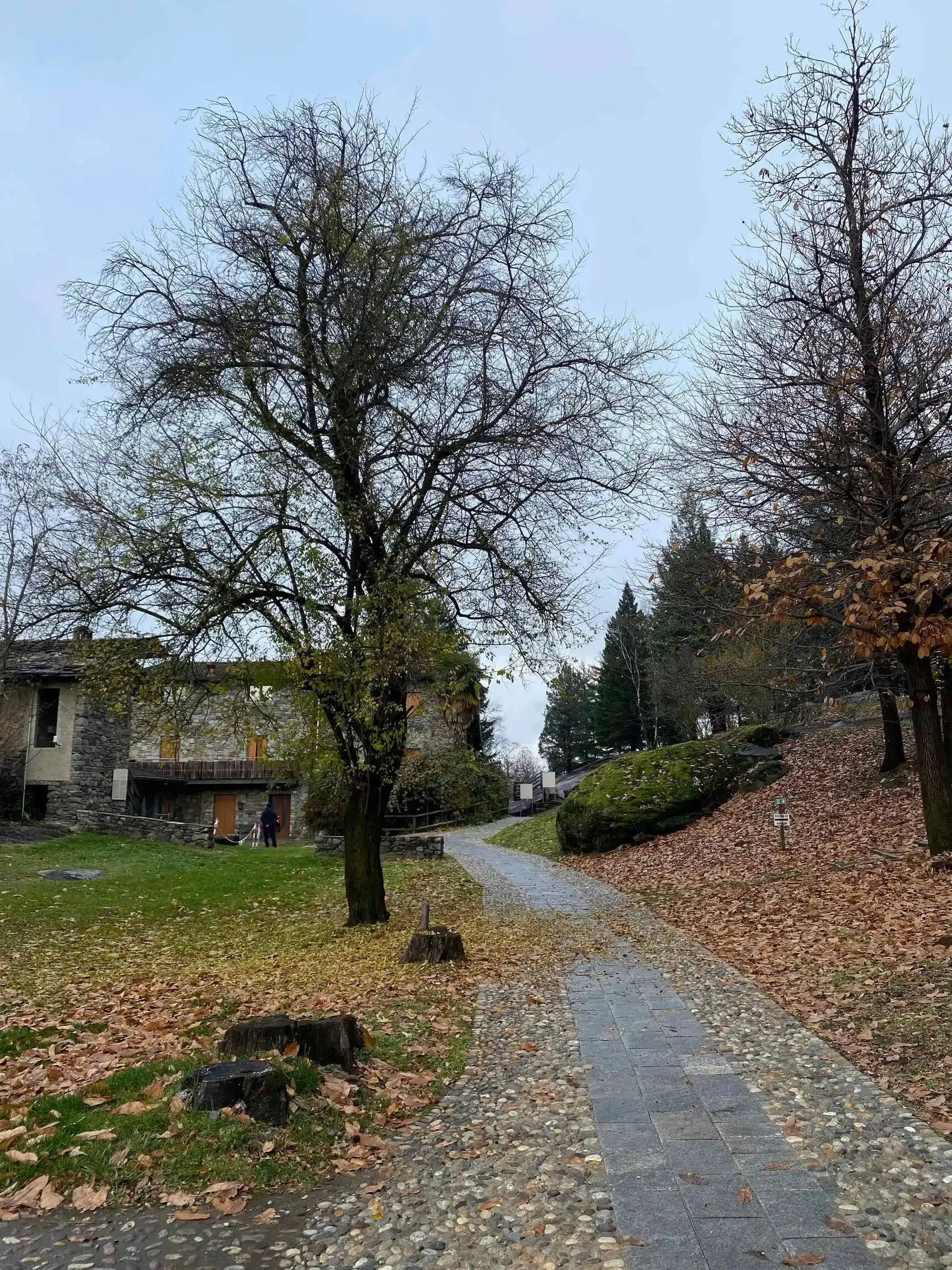 incisioni-rupestri-passaggio-pedonale