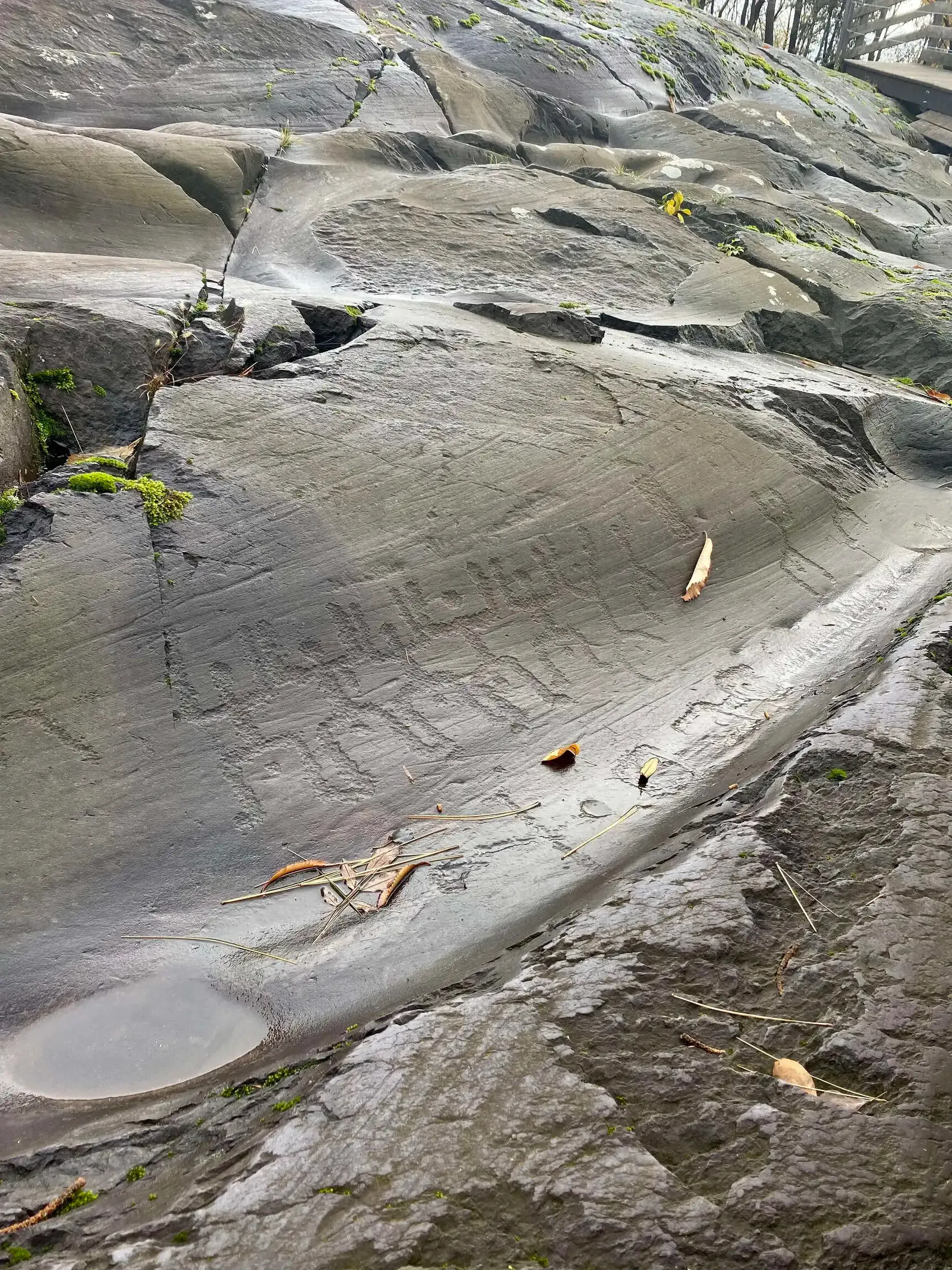 incisioni-rupestri-scritte