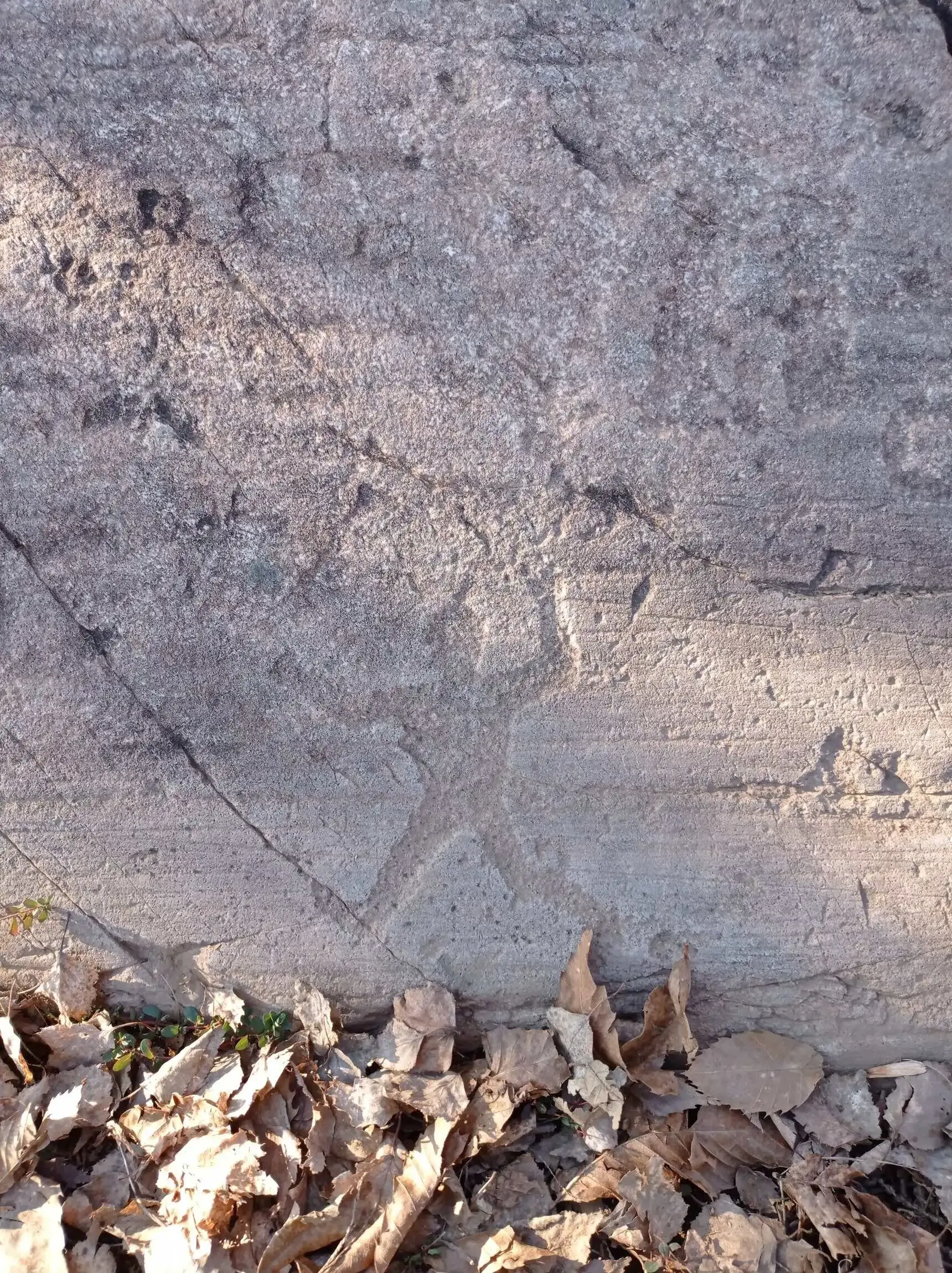 incisioni-rupestri-uomo